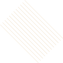 Pattern 4 - Cips Sosları