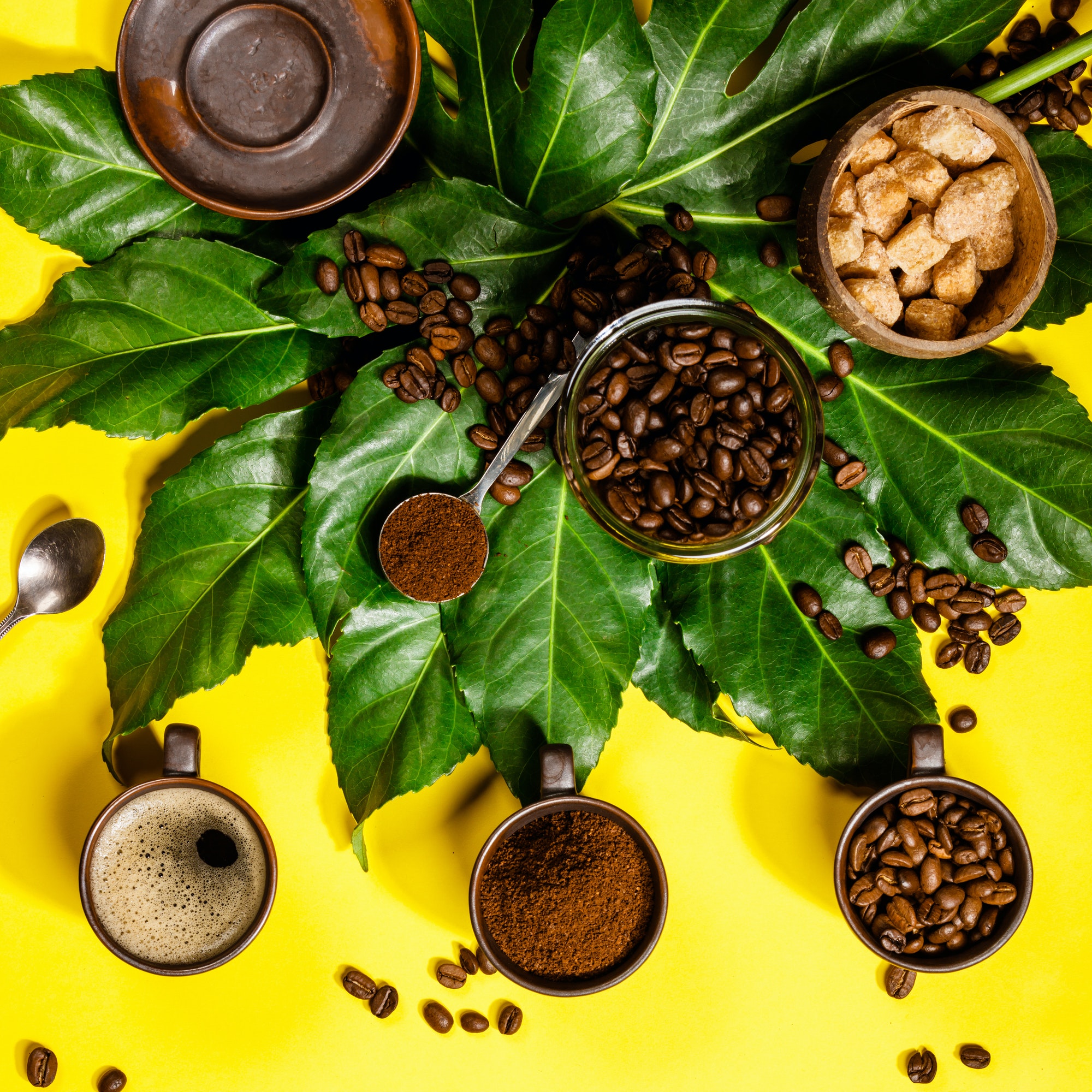 Coffee Coffee